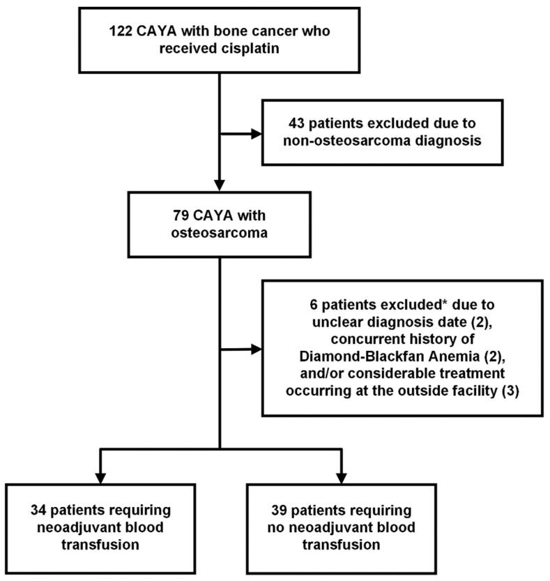 https://cdn.ncbi.nlm.nih.gov/pmc/blobs/b10c/11719514/e4008ebb9013/cancers-17-00097-g001.jpg