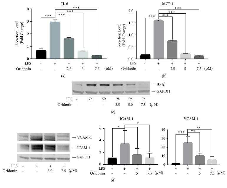 https://cdn.ncbi.nlm.nih.gov/pmc/blobs/b10e/6330820/9e5a9478bb10/BMRI2018-6137420.001.jpg