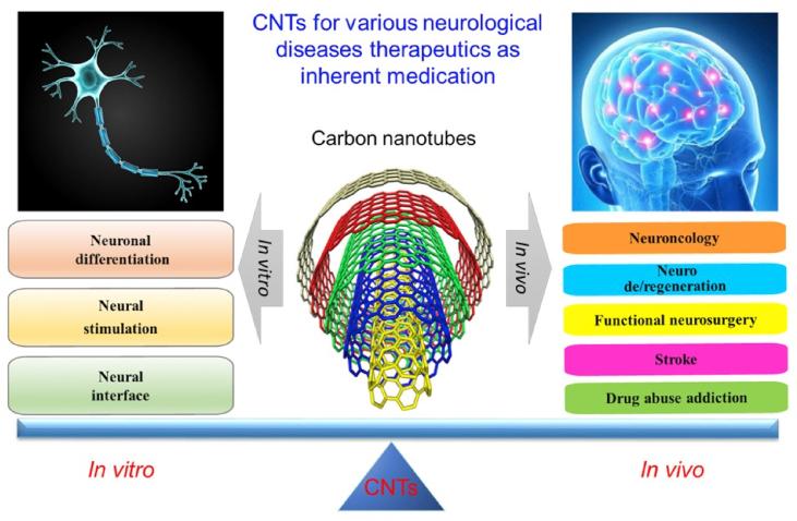 https://cdn.ncbi.nlm.nih.gov/pmc/blobs/b10e/7016289/830ea1440c79/gr1.jpg