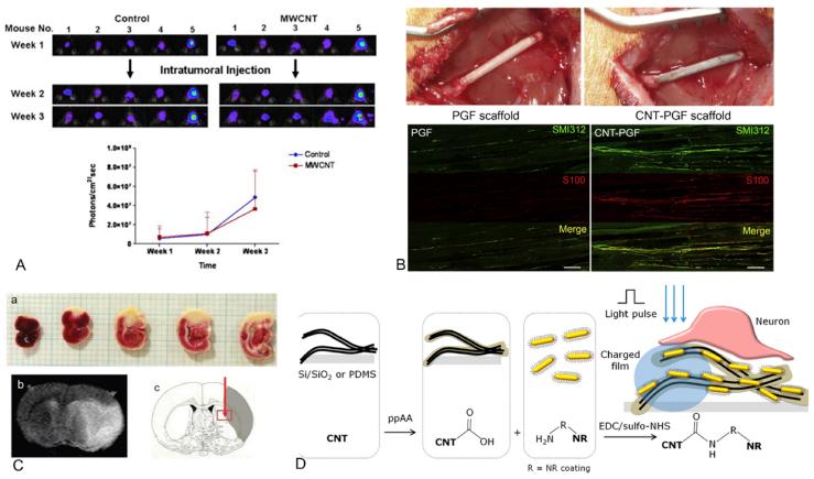 https://cdn.ncbi.nlm.nih.gov/pmc/blobs/b10e/7016289/89a1e9099982/gr3.jpg