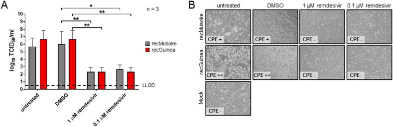 https://cdn.ncbi.nlm.nih.gov/pmc/blobs/b10f/10558868/536841dcd08c/gr5.jpg
