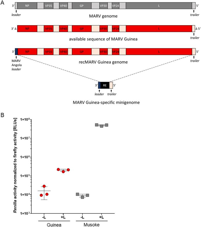 https://cdn.ncbi.nlm.nih.gov/pmc/blobs/b10f/10558868/fd61513e8c29/gr1.jpg