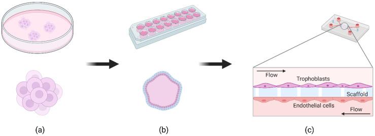 https://cdn.ncbi.nlm.nih.gov/pmc/blobs/b10f/8347836/69449ab07c0a/jcm-10-03444-g001.jpg