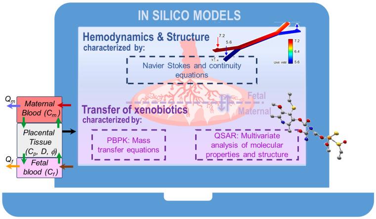 https://cdn.ncbi.nlm.nih.gov/pmc/blobs/b10f/8347836/880526caf9ff/jcm-10-03444-g003.jpg