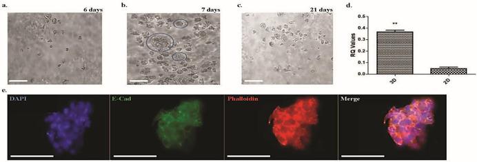 https://cdn.ncbi.nlm.nih.gov/pmc/blobs/b10f/8347836/c1f043c4377a/jcm-10-03444-g002.jpg