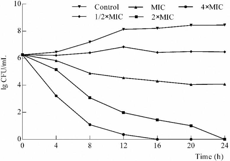 https://cdn.ncbi.nlm.nih.gov/pmc/blobs/b113/8637138/76c5ea374a53/gr1.jpg