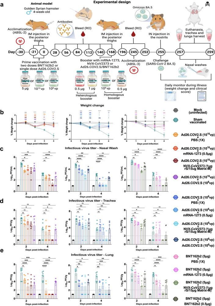 https://cdn.ncbi.nlm.nih.gov/pmc/blobs/b114/10352277/4eb76d114177/41467_2023_40033_Fig3_HTML.jpg