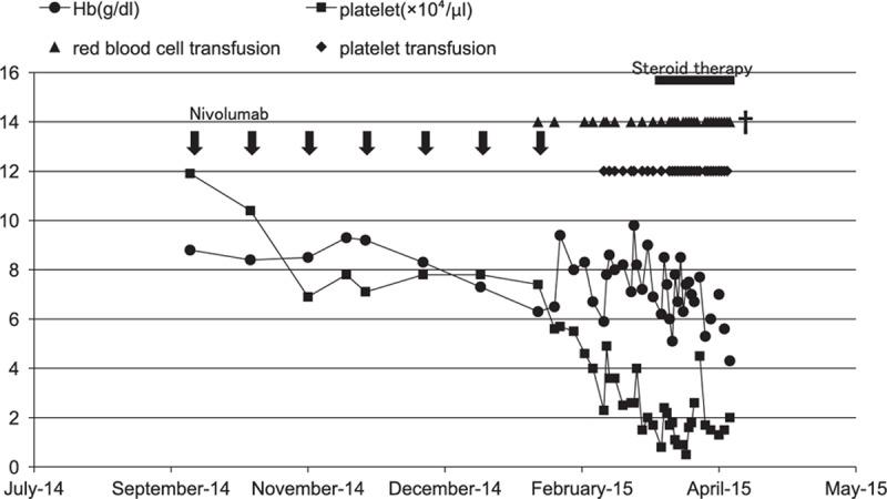 https://cdn.ncbi.nlm.nih.gov/pmc/blobs/b116/5265785/66492b7d6323/medi-95-e4283-g003.jpg