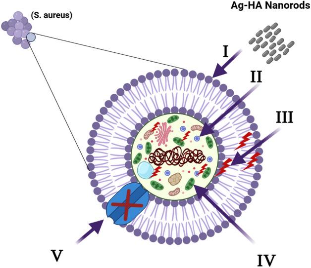 https://cdn.ncbi.nlm.nih.gov/pmc/blobs/b118/10449880/17a49a241eb5/41598_2023_40970_Fig14_HTML.jpg
