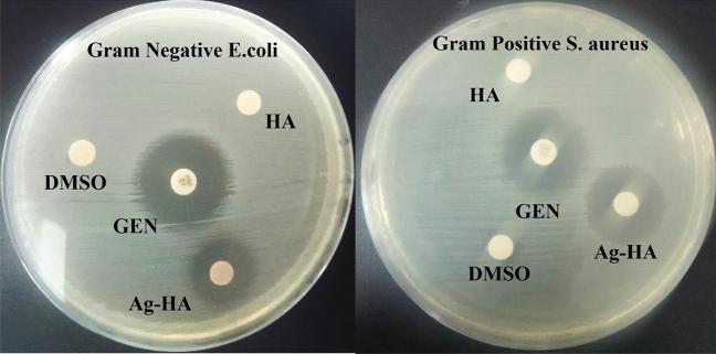 https://cdn.ncbi.nlm.nih.gov/pmc/blobs/b118/10449880/38aac4630dfb/41598_2023_40970_Fig13_HTML.jpg