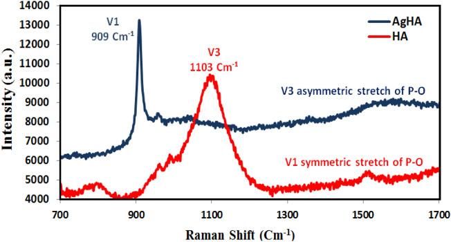https://cdn.ncbi.nlm.nih.gov/pmc/blobs/b118/10449880/459f74e7e710/41598_2023_40970_Fig6_HTML.jpg