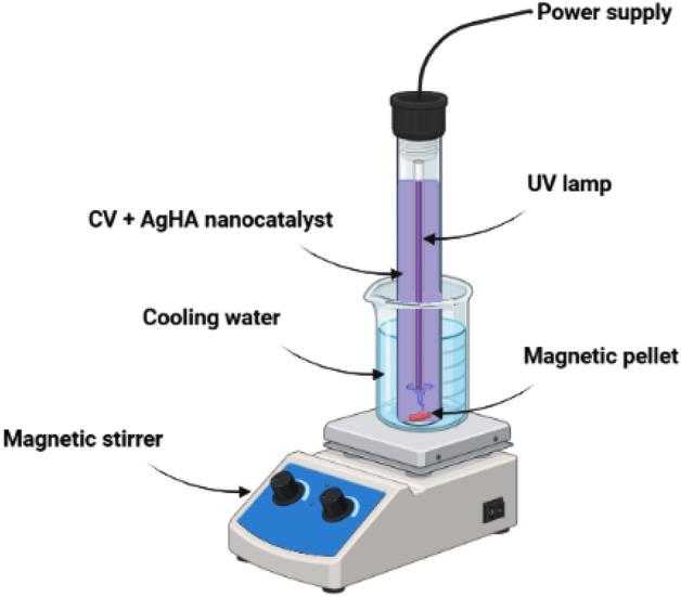 https://cdn.ncbi.nlm.nih.gov/pmc/blobs/b118/10449880/62977186a058/41598_2023_40970_Fig1_HTML.jpg