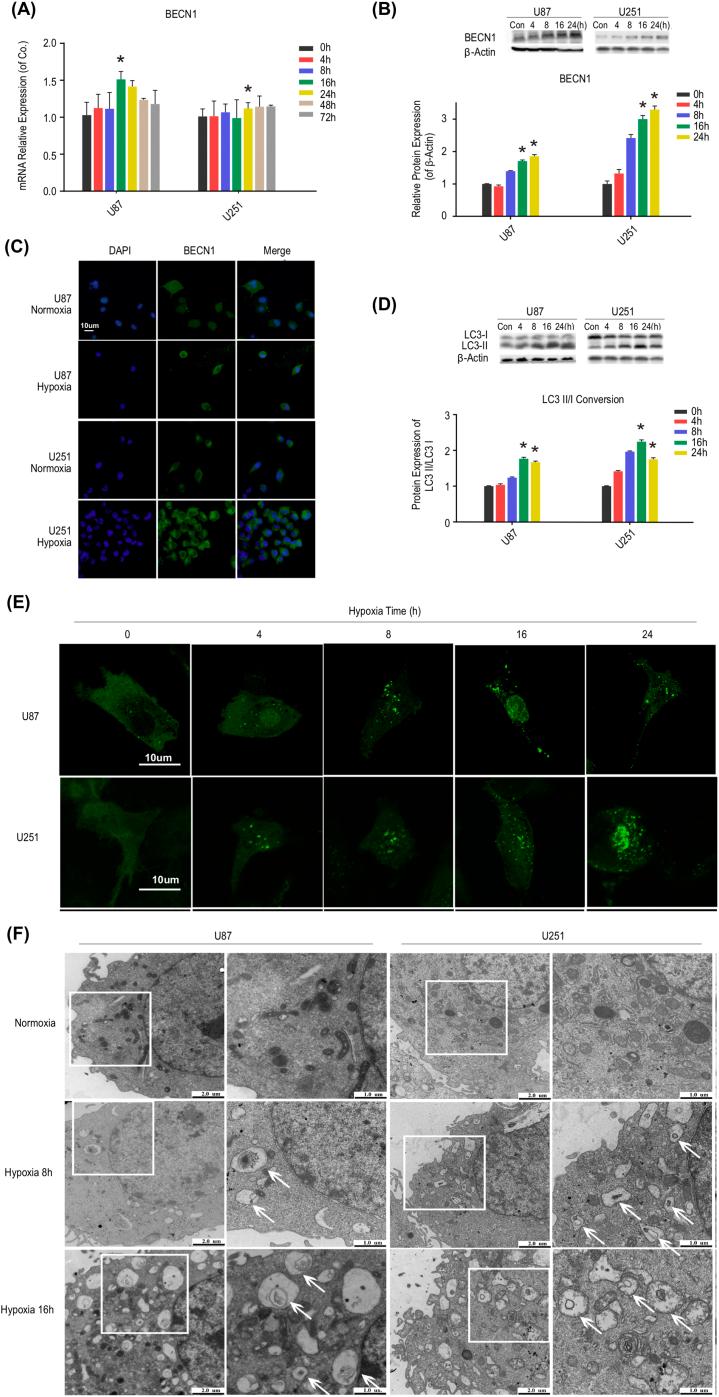 https://cdn.ncbi.nlm.nih.gov/pmc/blobs/b118/9860297/072297c3545b/gr2.jpg