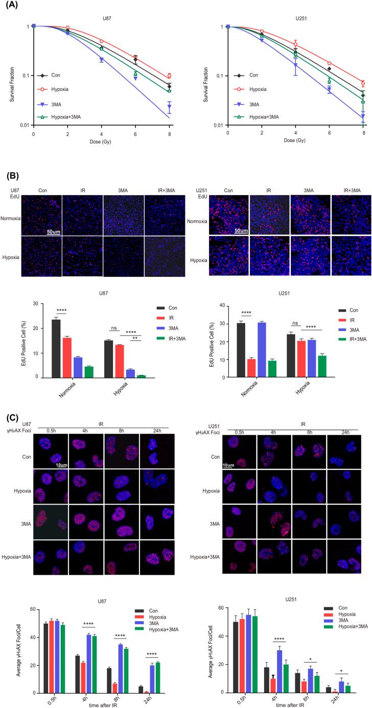 https://cdn.ncbi.nlm.nih.gov/pmc/blobs/b118/9860297/19e6bf6bcd7d/gr5.jpg