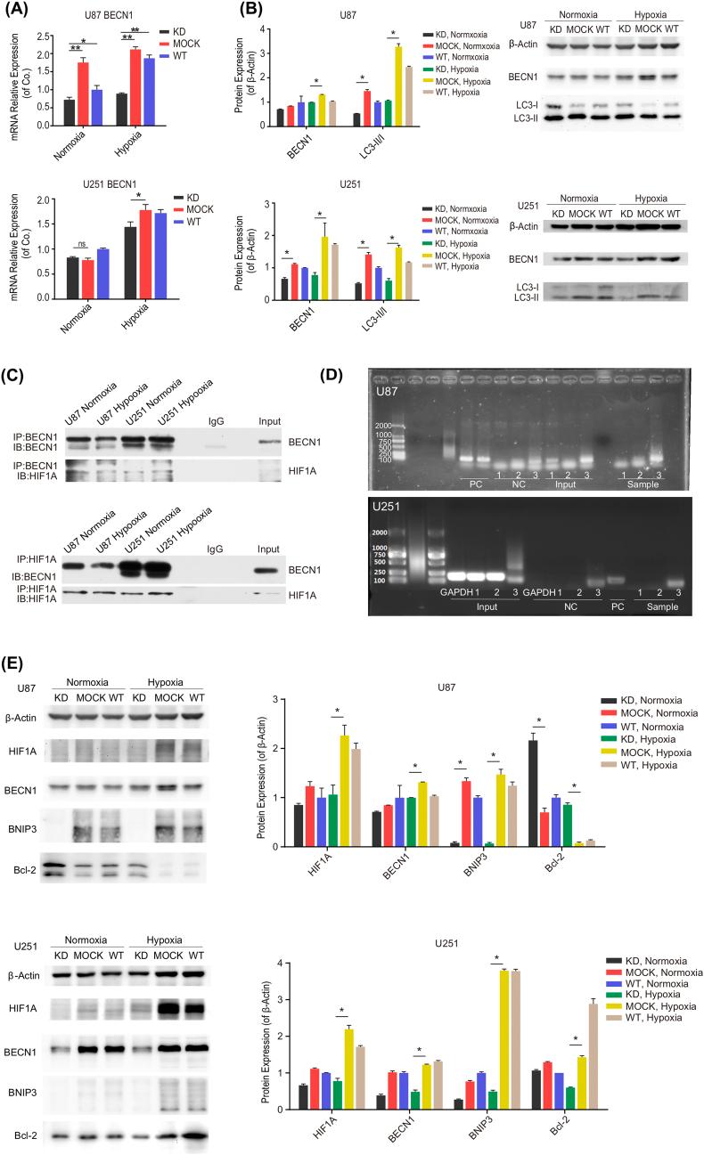 https://cdn.ncbi.nlm.nih.gov/pmc/blobs/b118/9860297/4271d209d9df/gr3.jpg