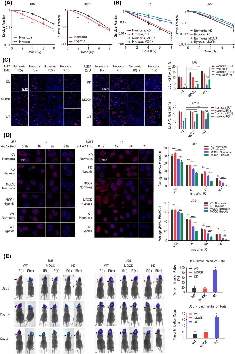 https://cdn.ncbi.nlm.nih.gov/pmc/blobs/b118/9860297/a092aee563c7/gr4.jpg