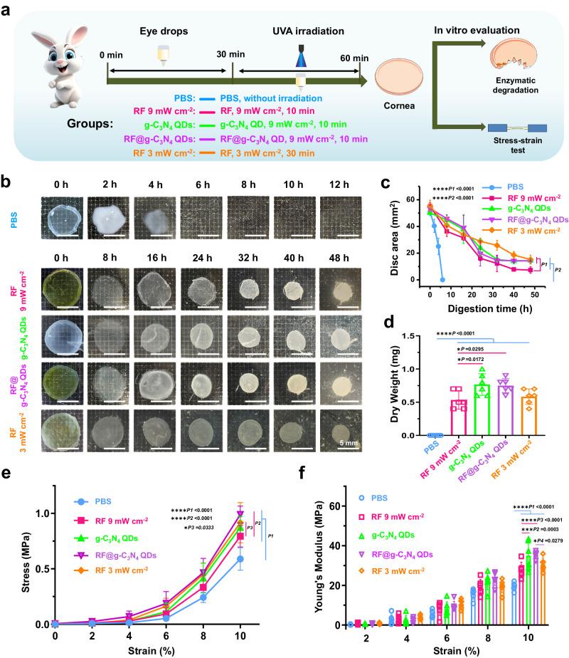 https://cdn.ncbi.nlm.nih.gov/pmc/blobs/b119/11217369/00ac5ec22785/41467_2024_49645_Fig5_HTML.jpg