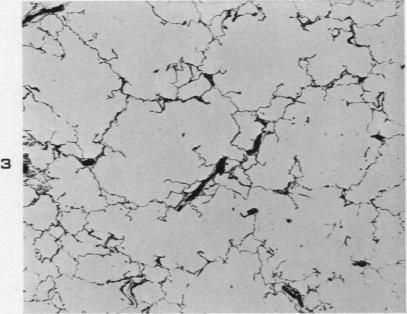 https://cdn.ncbi.nlm.nih.gov/pmc/blobs/b119/1934143/62fbfc3be534/amjpathol00514-0081-a.jpg