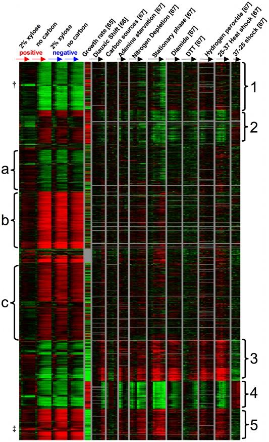 https://cdn.ncbi.nlm.nih.gov/pmc/blobs/b11a/2869308/af52b2c3b7ad/pgen.1000942.g008.jpg