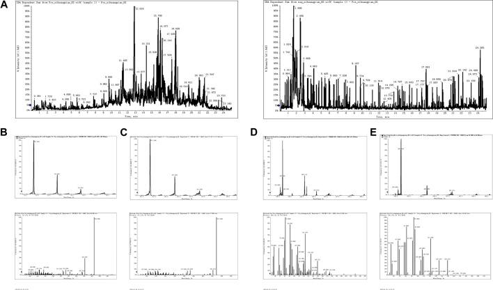 https://cdn.ncbi.nlm.nih.gov/pmc/blobs/b11c/10110895/e5eaf53127f4/fphar-14-1164827-g001.jpg