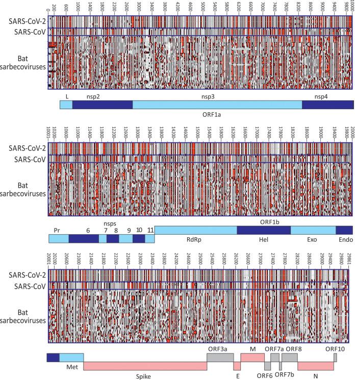 https://cdn.ncbi.nlm.nih.gov/pmc/blobs/b11c/7642675/8fd59d7d5e5b/mBio.01661-20-f0005.jpg