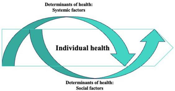 https://cdn.ncbi.nlm.nih.gov/pmc/blobs/b11d/11141052/826191d7d363/fpubh-12-1271215-g003.jpg