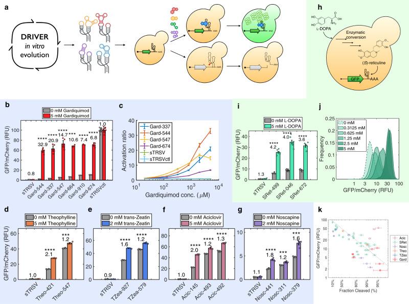 https://cdn.ncbi.nlm.nih.gov/pmc/blobs/b11d/7933316/5f078397b882/41467_2021_21716_Fig4_HTML.jpg