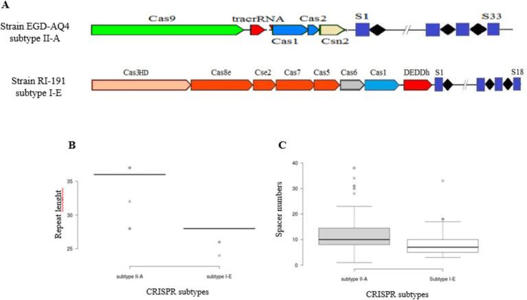 https://cdn.ncbi.nlm.nih.gov/pmc/blobs/b11e/11638214/9455a9f90f7f/fmicb-15-1394756-g001.jpg
