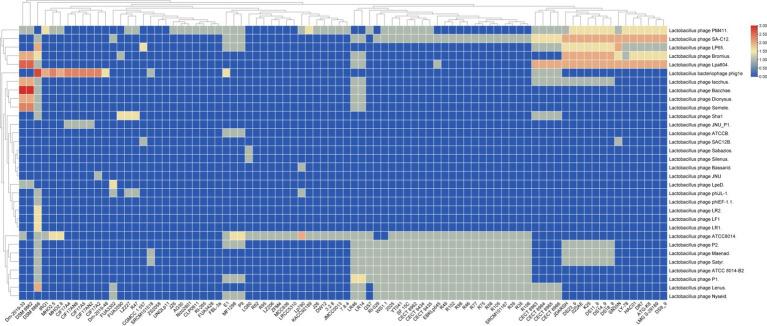 https://cdn.ncbi.nlm.nih.gov/pmc/blobs/b11e/11638214/dd15d3c68b86/fmicb-15-1394756-g005.jpg