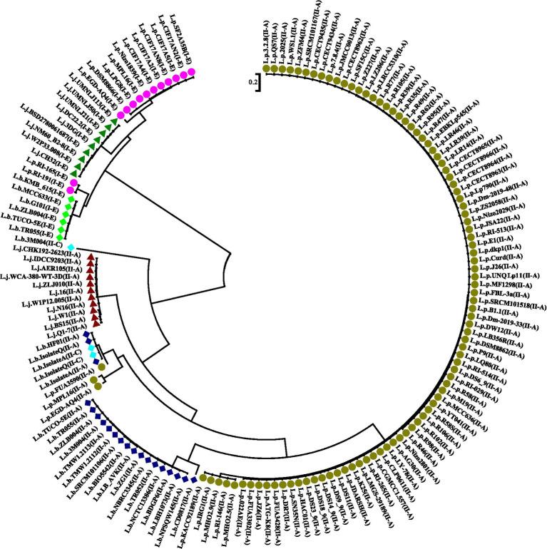 https://cdn.ncbi.nlm.nih.gov/pmc/blobs/b11e/11638214/e49102712503/fmicb-15-1394756-g004.jpg