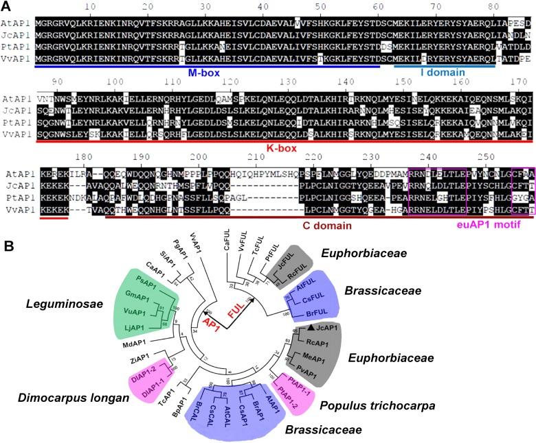 https://cdn.ncbi.nlm.nih.gov/pmc/blobs/b11f/4860315/044a6c48da34/peerj-04-1969-g001.jpg