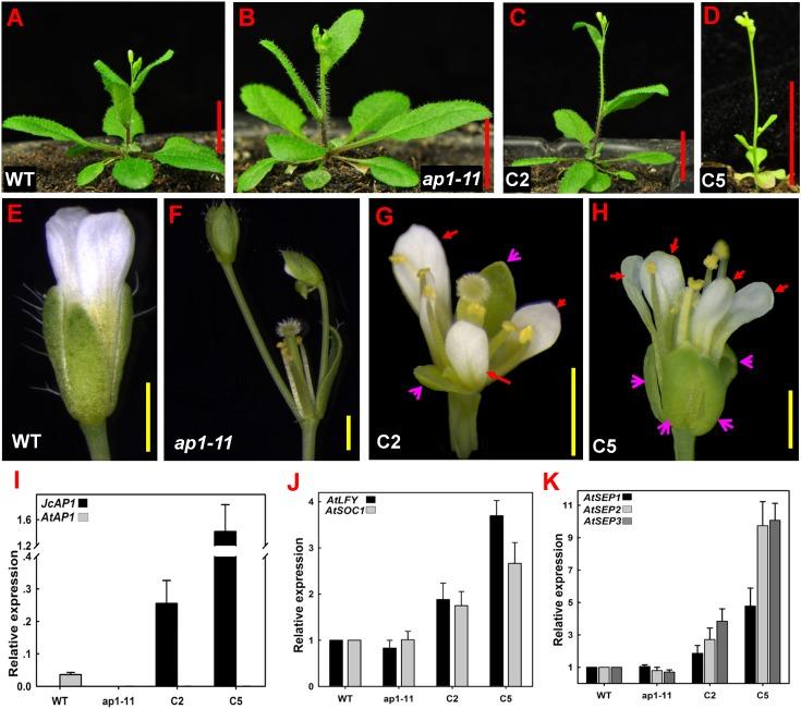 https://cdn.ncbi.nlm.nih.gov/pmc/blobs/b11f/4860315/ad57489c63eb/peerj-04-1969-g004.jpg