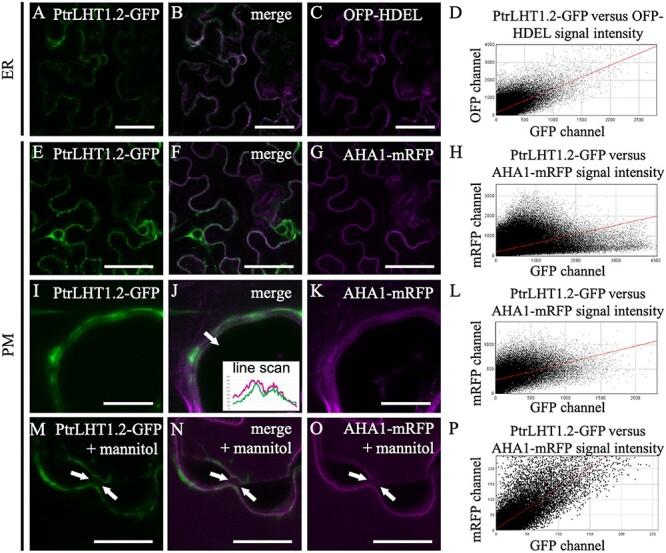 https://cdn.ncbi.nlm.nih.gov/pmc/blobs/b120/8359683/8e7480b50543/tpab029f3.jpg