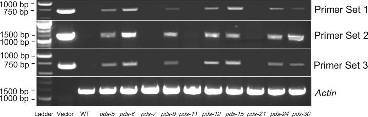 https://cdn.ncbi.nlm.nih.gov/pmc/blobs/b122/5834642/57de63fdae60/41438_2018_23_Fig4_HTML.jpg