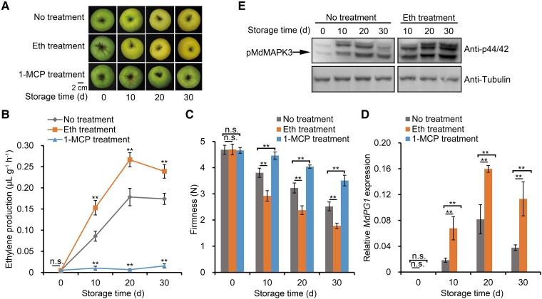 https://cdn.ncbi.nlm.nih.gov/pmc/blobs/b123/10396387/8c1481720342/koad122f1.jpg