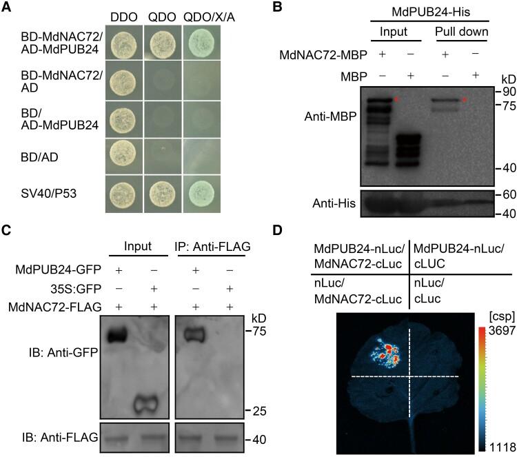 https://cdn.ncbi.nlm.nih.gov/pmc/blobs/b123/10396387/c0ec0ccf9755/koad122f6.jpg