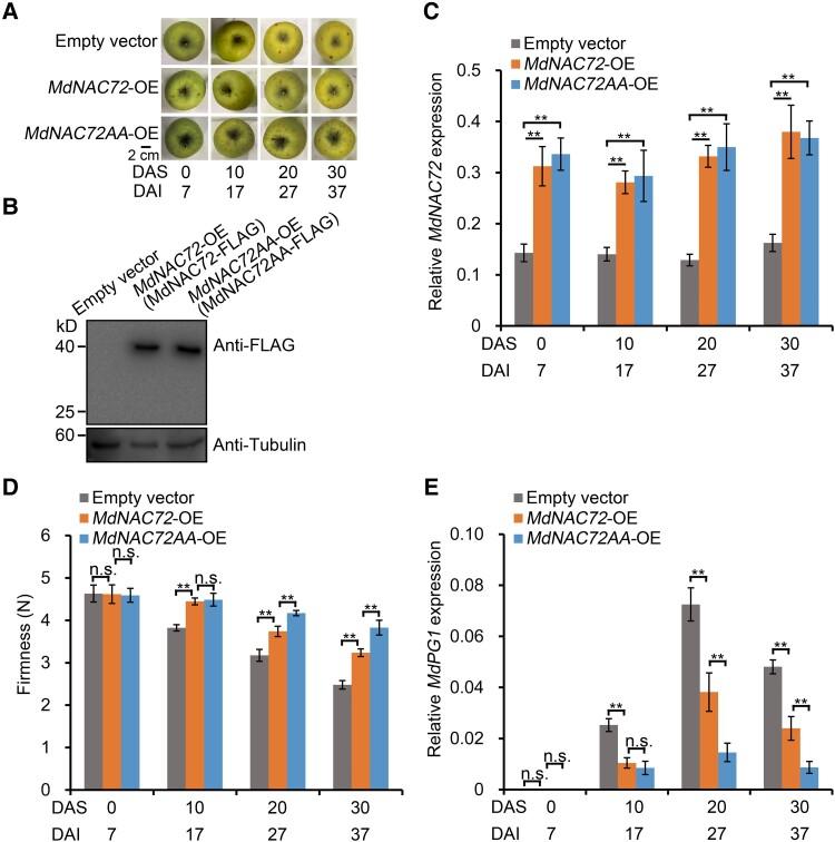 https://cdn.ncbi.nlm.nih.gov/pmc/blobs/b123/10396387/edfcbd745487/koad122f9.jpg