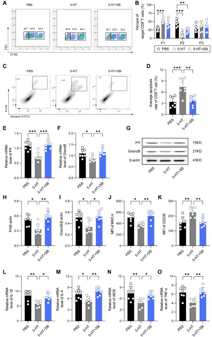 https://cdn.ncbi.nlm.nih.gov/pmc/blobs/b124/11437714/74b289825bf8/12974_2024_3239_Fig4_HTML.jpg