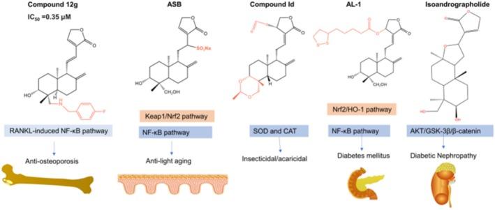 https://cdn.ncbi.nlm.nih.gov/pmc/blobs/b124/12397499/3d93181c5d09/PRP2-13-e70161-g001.jpg
