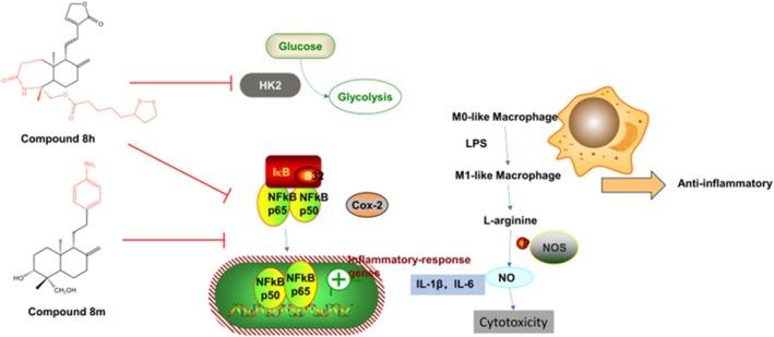 https://cdn.ncbi.nlm.nih.gov/pmc/blobs/b124/12397499/5b2ce1d9caef/PRP2-13-e70161-g010.jpg