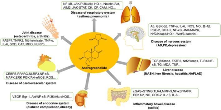 https://cdn.ncbi.nlm.nih.gov/pmc/blobs/b124/12397499/b0648bd86181/PRP2-13-e70161-g003.jpg
