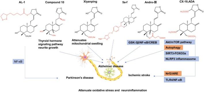 https://cdn.ncbi.nlm.nih.gov/pmc/blobs/b124/12397499/bd2cfd5a4d1c/PRP2-13-e70161-g005.jpg