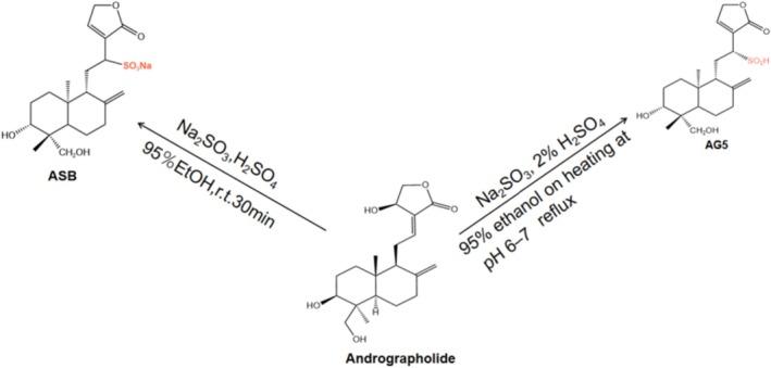 https://cdn.ncbi.nlm.nih.gov/pmc/blobs/b124/12397499/fadae644cd00/PRP2-13-e70161-g011.jpg