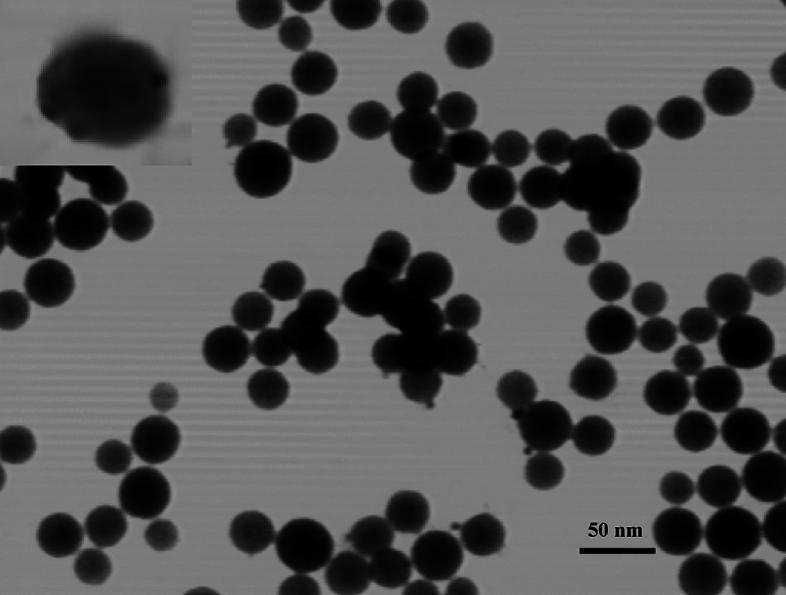 https://cdn.ncbi.nlm.nih.gov/pmc/blobs/b125/11379696/0e3186797ea1/41598_2024_70624_Fig2_HTML.jpg