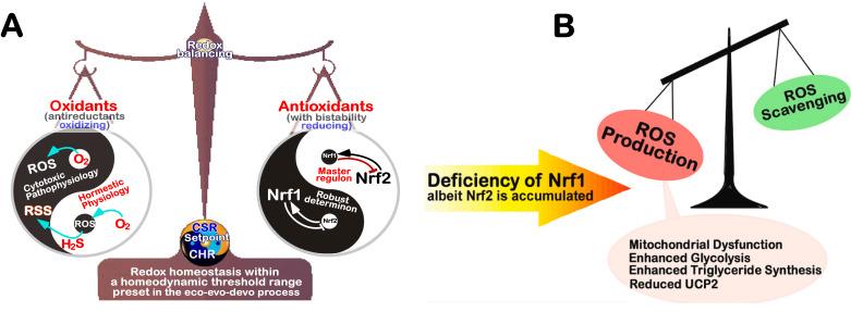 https://cdn.ncbi.nlm.nih.gov/pmc/blobs/b125/12285602/16cf381f7891/ces-09-065-g003.jpg