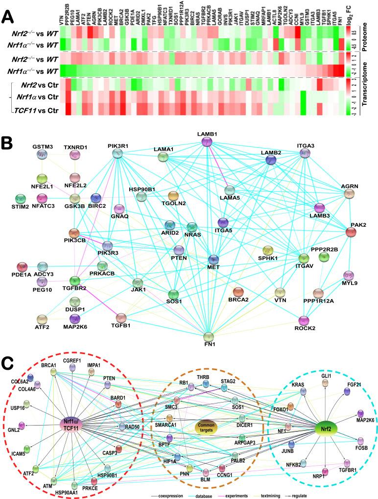https://cdn.ncbi.nlm.nih.gov/pmc/blobs/b125/12285602/6304270ba4f7/ces-09-065-g015.jpg