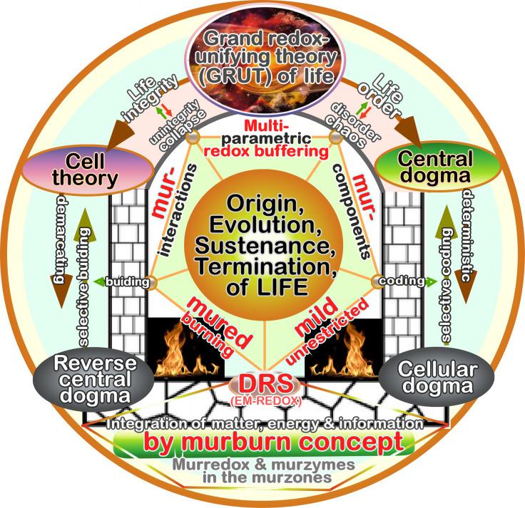https://cdn.ncbi.nlm.nih.gov/pmc/blobs/b125/12285602/8a16e7973c5f/ces-09-065-g019.jpg