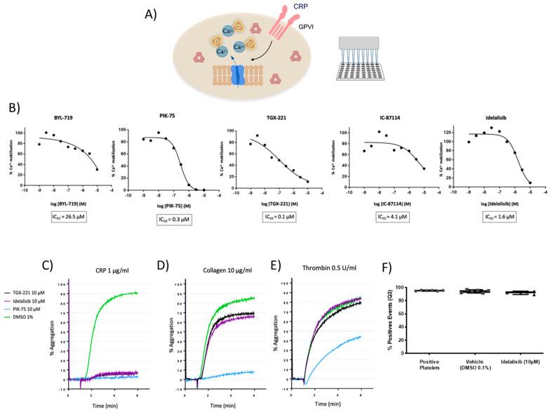 https://cdn.ncbi.nlm.nih.gov/pmc/blobs/b125/8037016/c58797ead01c/ijms-22-03304-g001.jpg