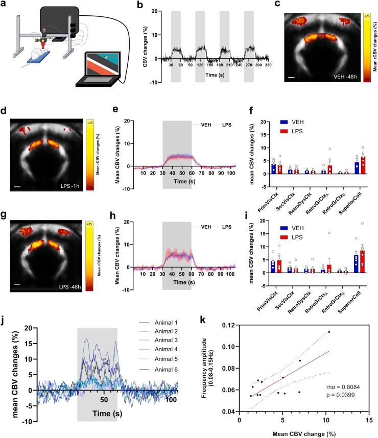 https://cdn.ncbi.nlm.nih.gov/pmc/blobs/b126/12159494/45cc936e0c66/gr6.jpg
