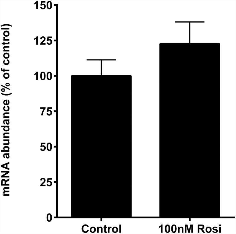 https://cdn.ncbi.nlm.nih.gov/pmc/blobs/b128/4355072/1a8309bd6a1b/pone.0115830.g005.jpg